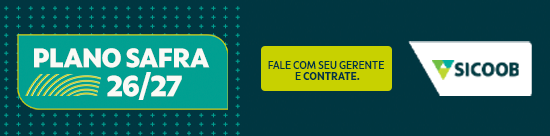 banner responsivo